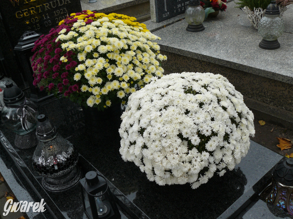Wszystkich Świętych tuż, tuż. Ruch na cmentarzach