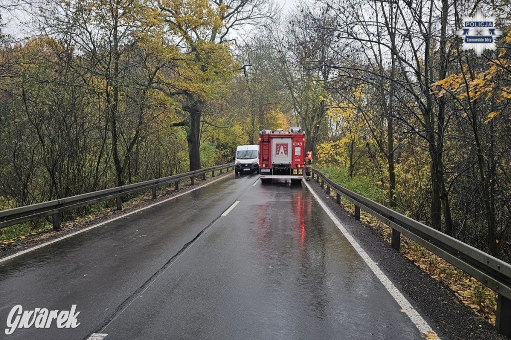 Feralne wyprzedzanie