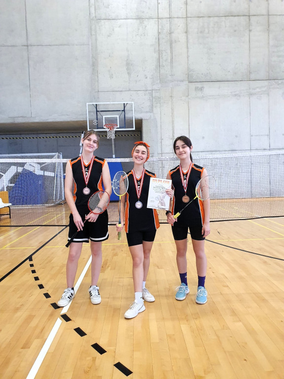 Powiat tarnogórski. Sempa i Radzionków górą