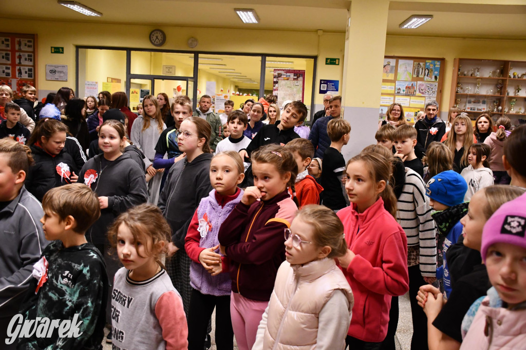 Stare Tarnowice. XI Osiedlowy Bieg Niepodległości
