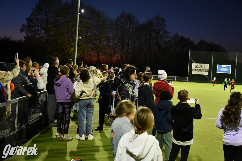 Stare Tarnowice. XI Osiedlowy Bieg Niepodległości