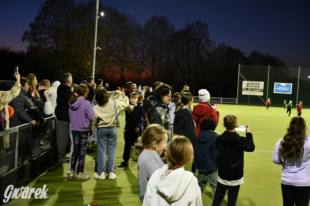 Stare Tarnowice. XI Osiedlowy Bieg Niepodległości