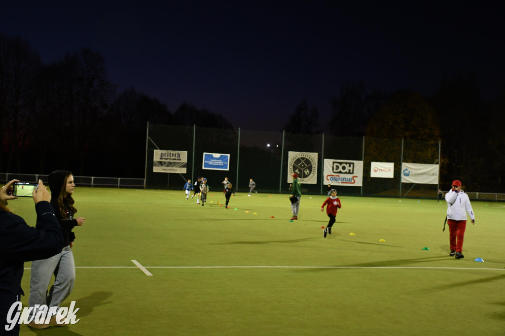 Stare Tarnowice. XI Osiedlowy Bieg Niepodległości