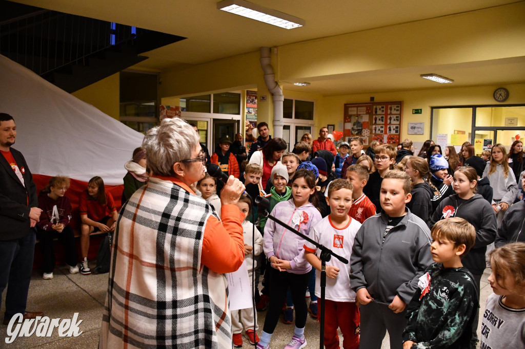 Stare Tarnowice. XI Osiedlowy Bieg Niepodległości