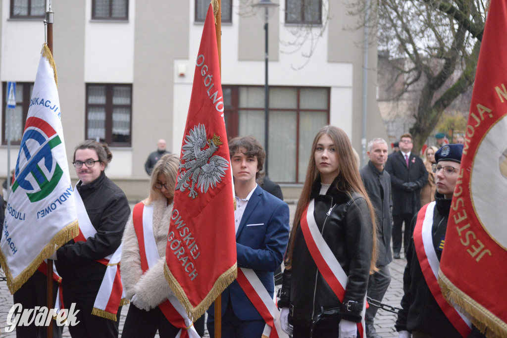 Tarnowskie Góry. Obchody Święta Niepodległości