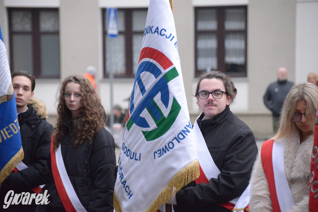 Tarnowskie Góry. Obchody Święta Niepodległości