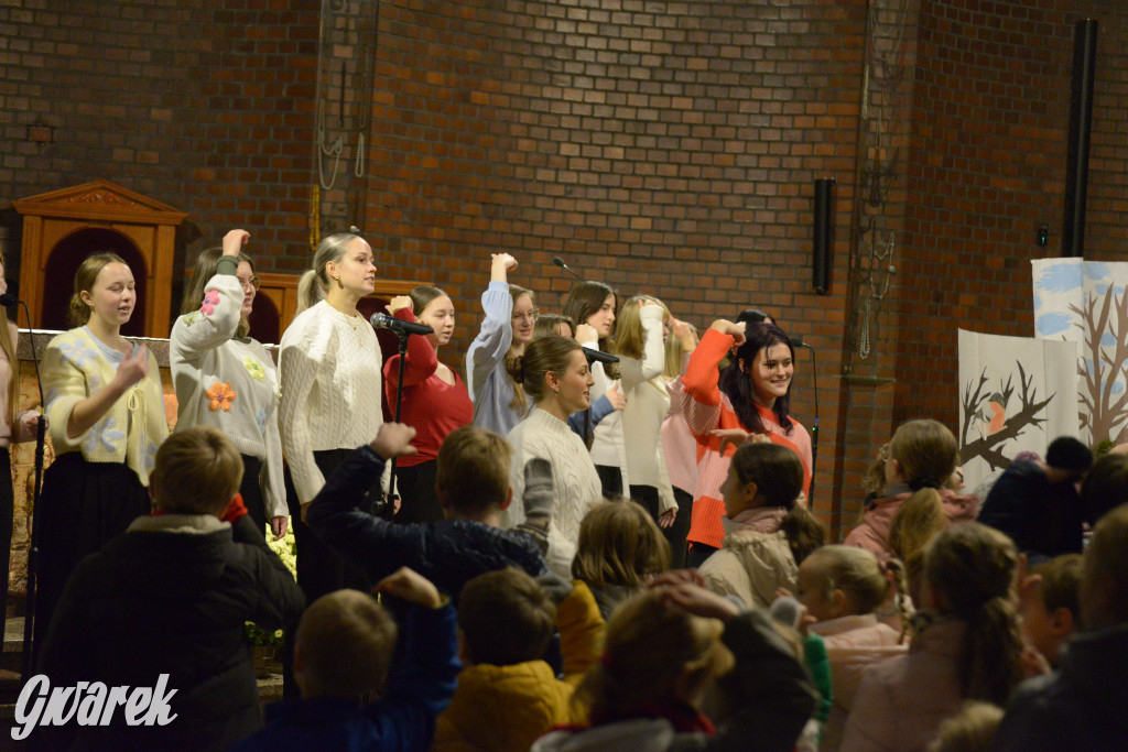 Marcinki w Tarnowskich Górach