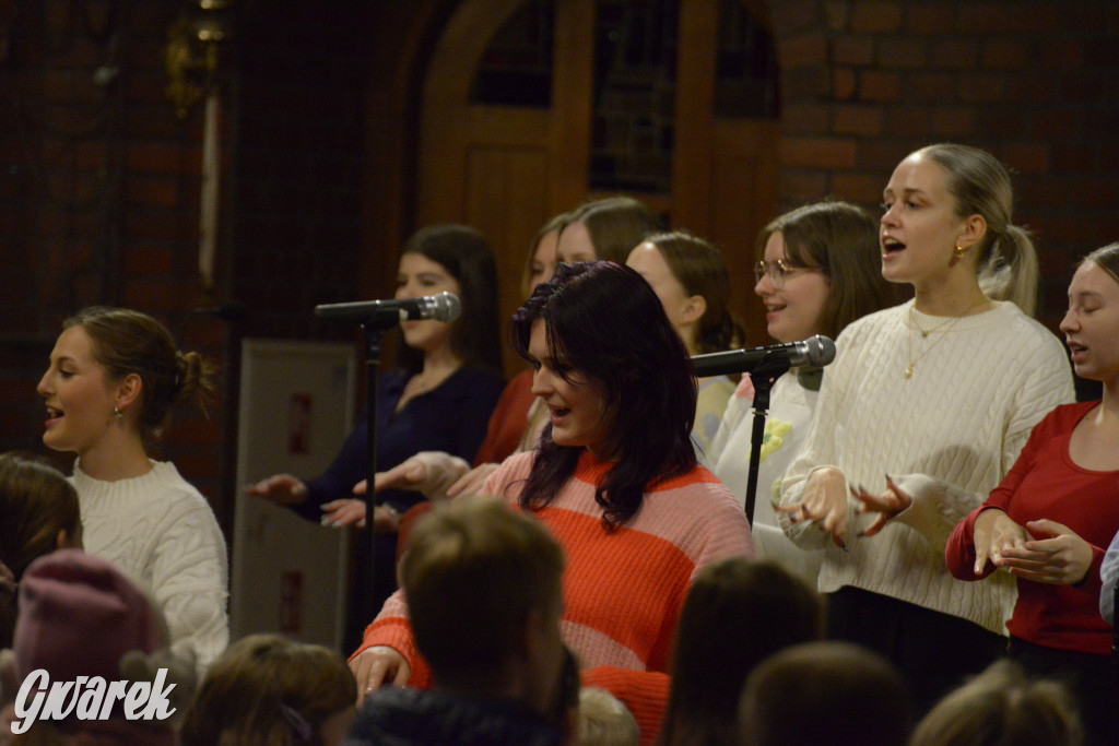 Marcinki w Tarnowskich Górach