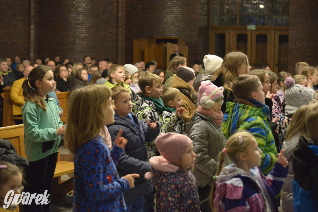 Marcinki w Tarnowskich Górach