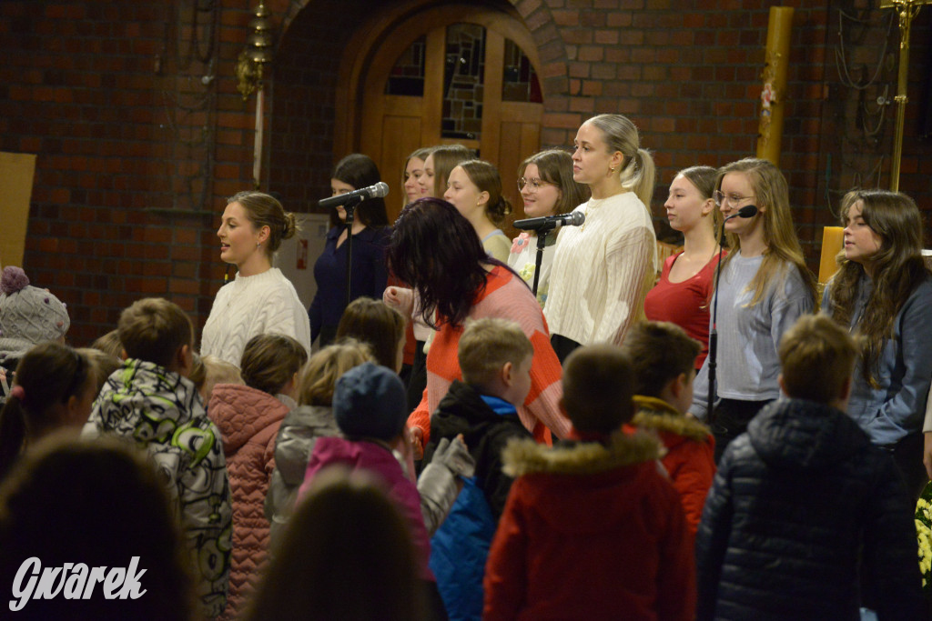 Marcinki w Tarnowskich Górach