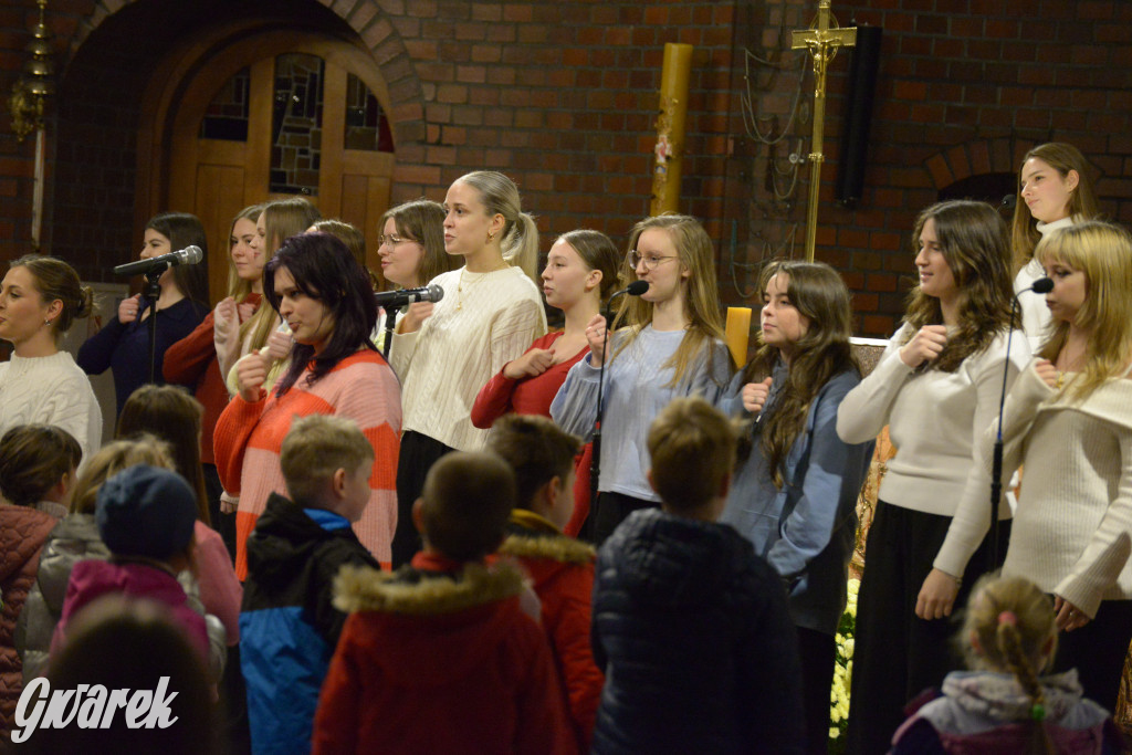 Marcinki w Tarnowskich Górach