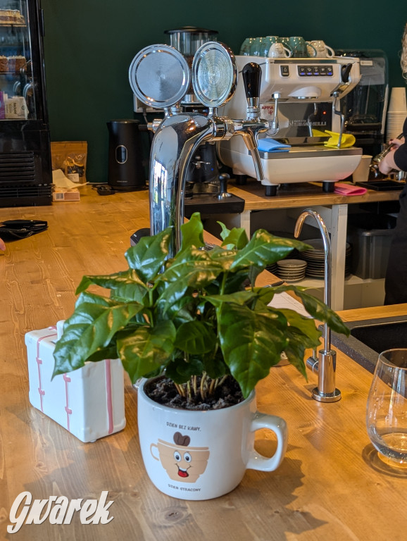 Tarnowskie Góry.  JazzPresso otwarte na Osadzie Jana