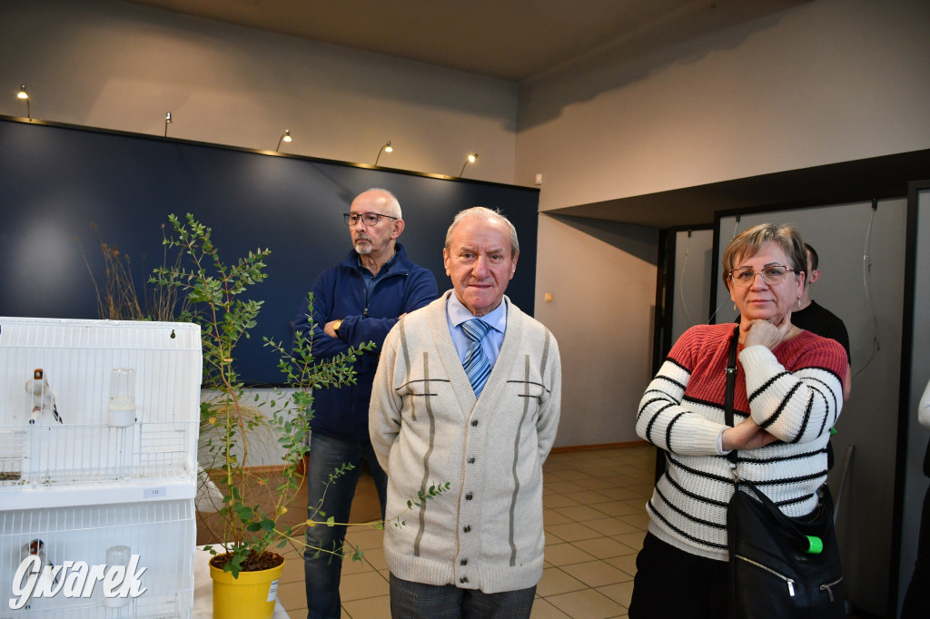 Radzionków. Kanarki i nie tylko, udana wystawa