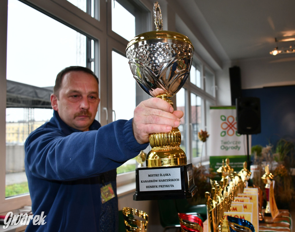 Radzionków. Kanarki i nie tylko, udana wystawa