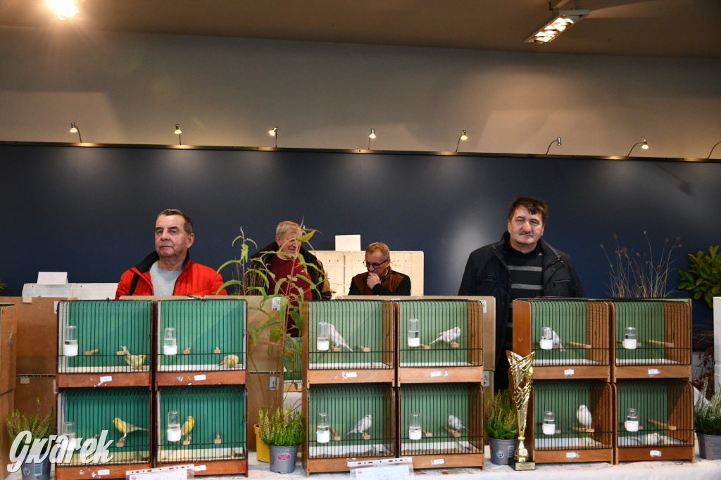 Radzionków. Kanarki i nie tylko, udana wystawa