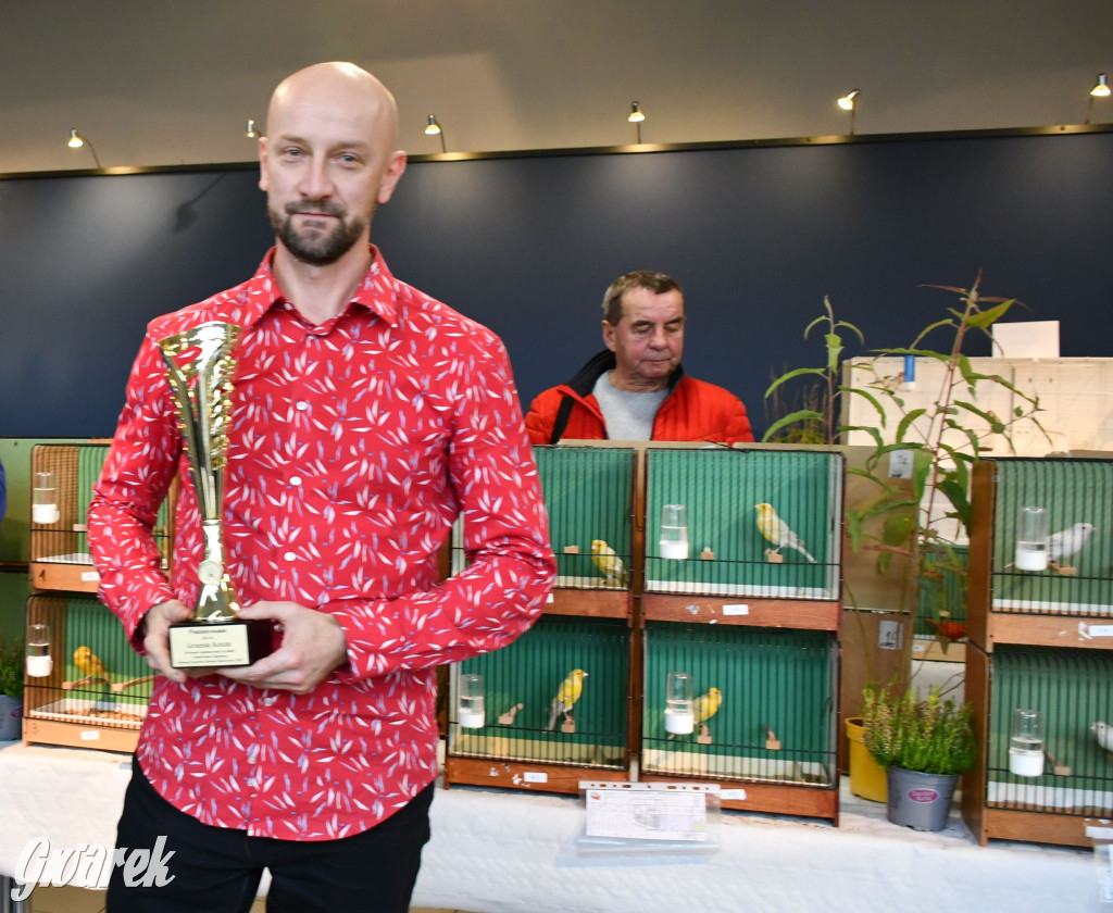 Radzionków. Kanarki i nie tylko, udana wystawa