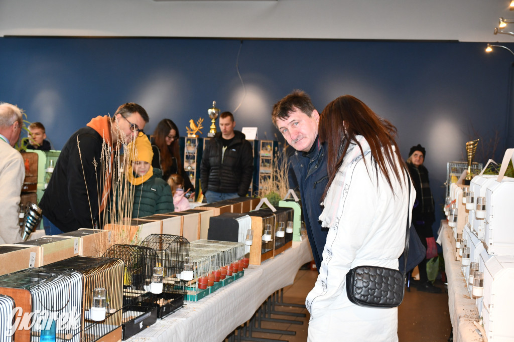 Radzionków. Kanarki i nie tylko, udana wystawa