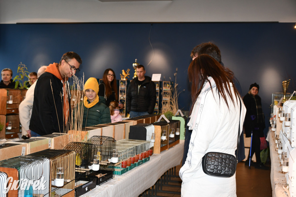 Radzionków. Kanarki i nie tylko, udana wystawa