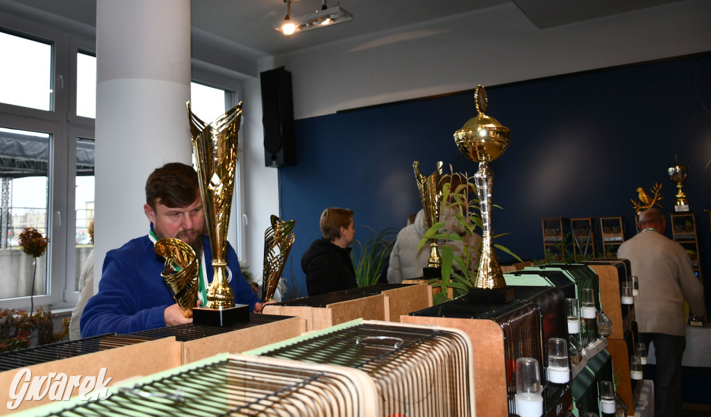 Radzionków. Kanarki i nie tylko, udana wystawa