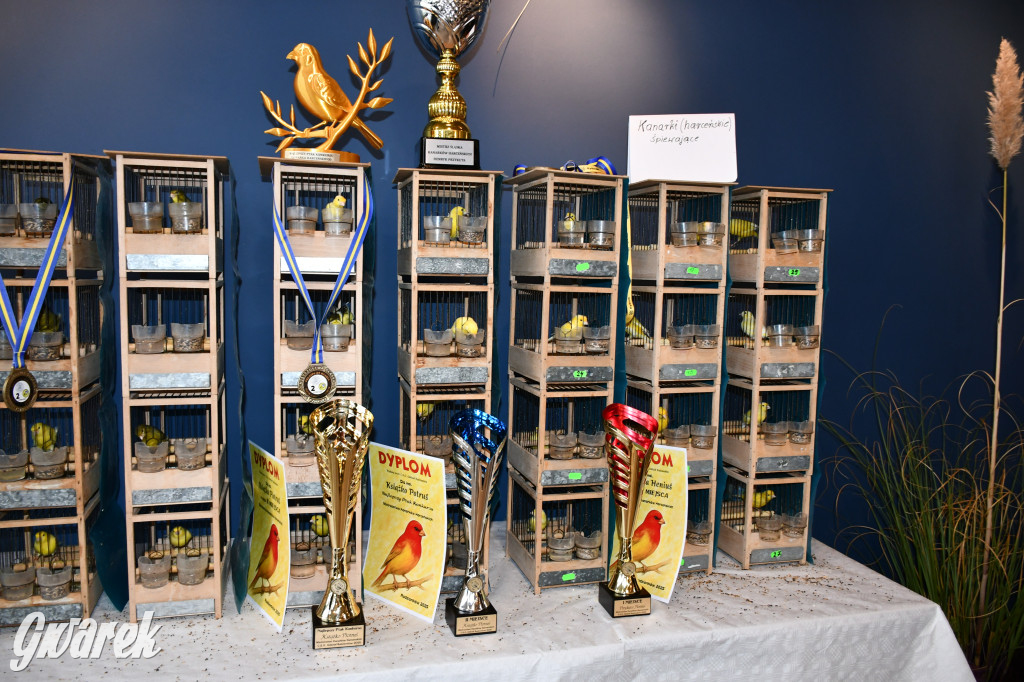 Radzionków. Kanarki i nie tylko, udana wystawa