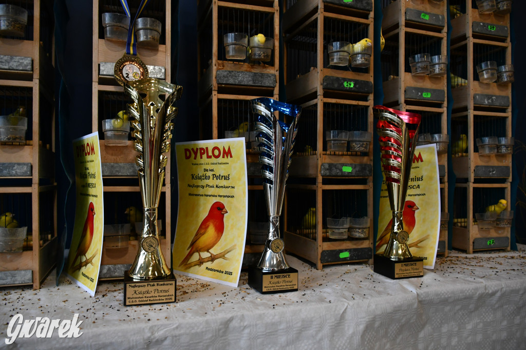 Radzionków. Kanarki i nie tylko, udana wystawa