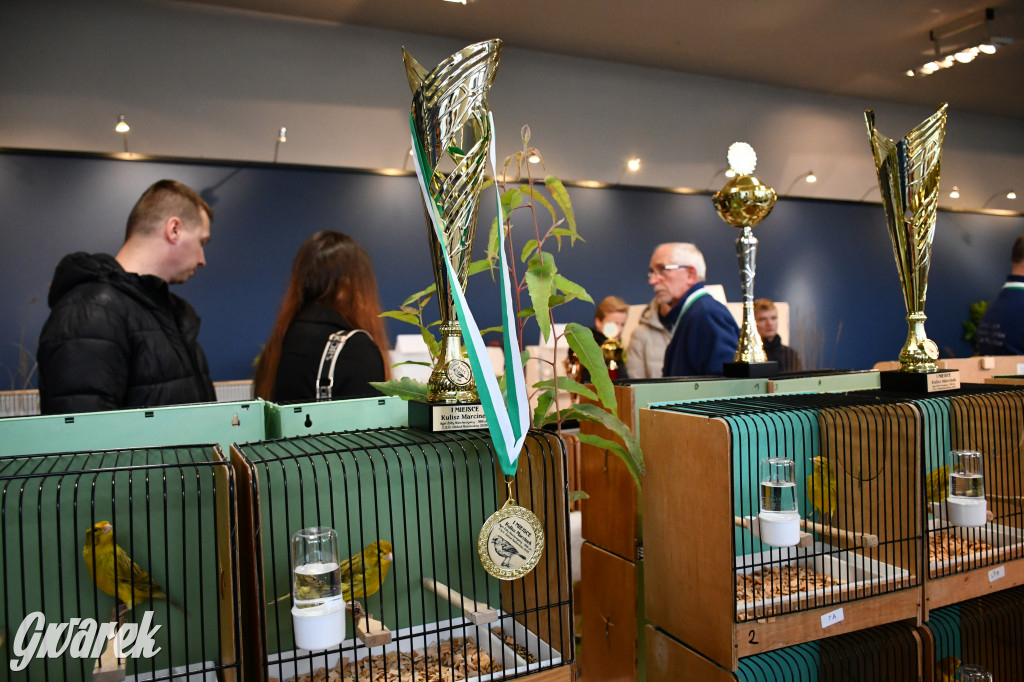 Radzionków. Kanarki i nie tylko, udana wystawa