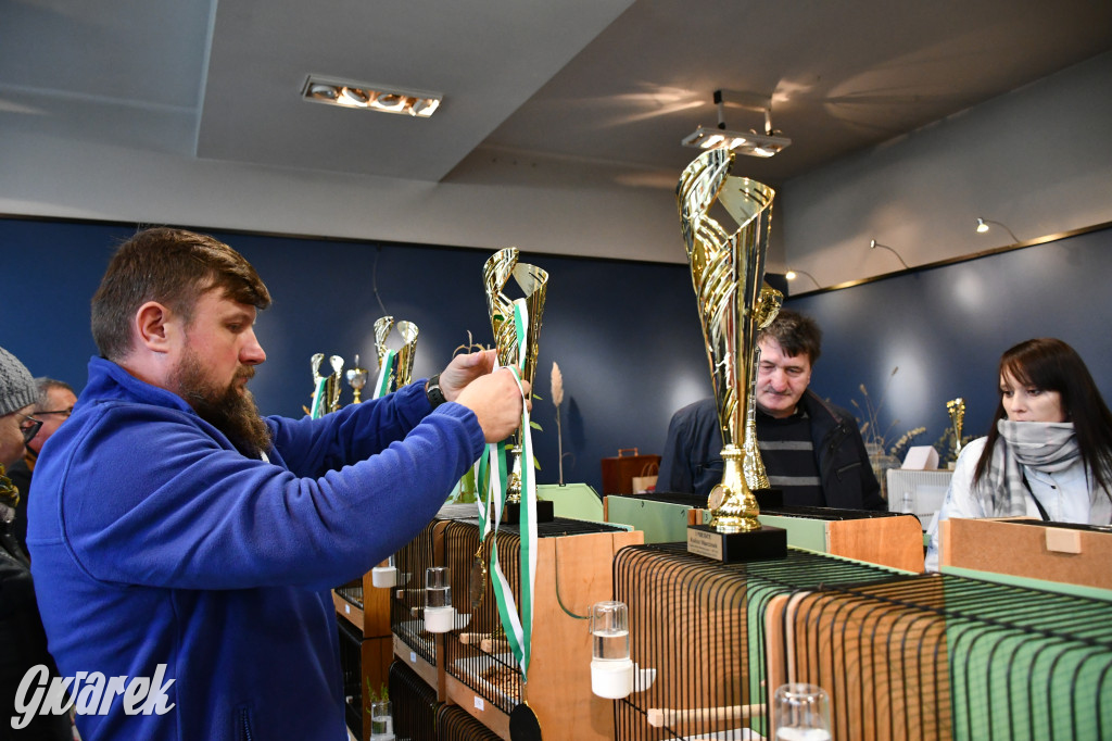 Radzionków. Kanarki i nie tylko, udana wystawa