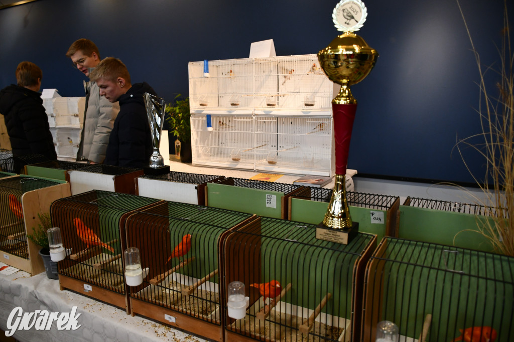 Radzionków. Kanarki i nie tylko, udana wystawa