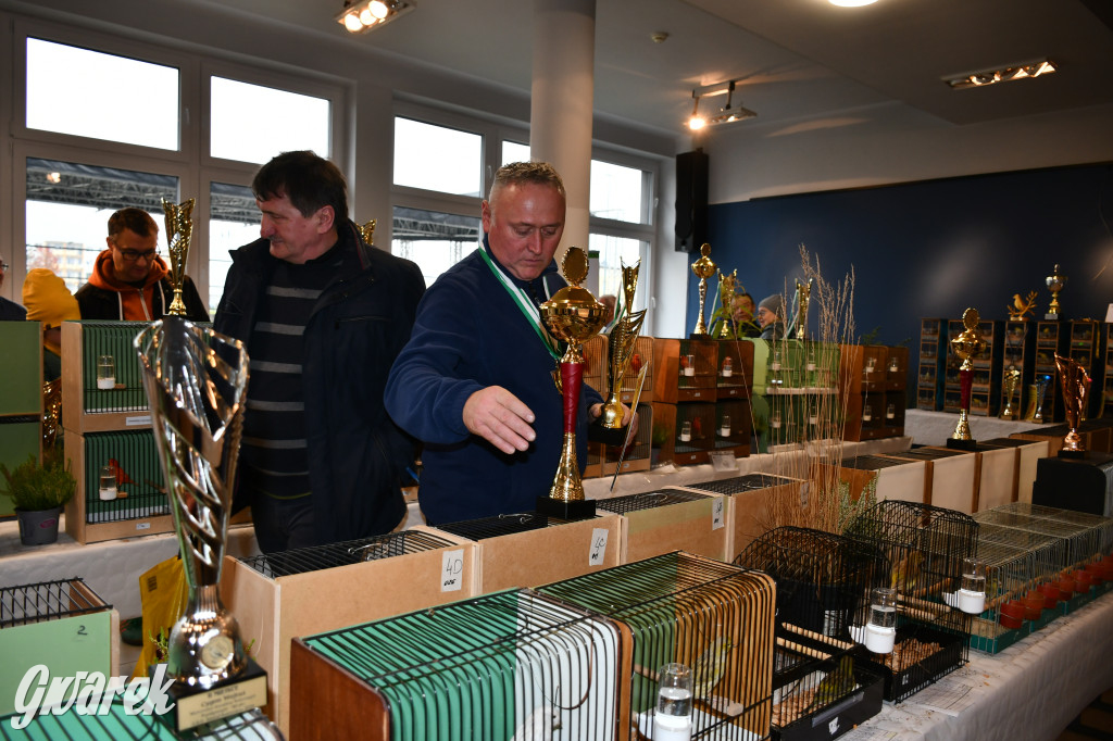 Radzionków. Kanarki i nie tylko, udana wystawa