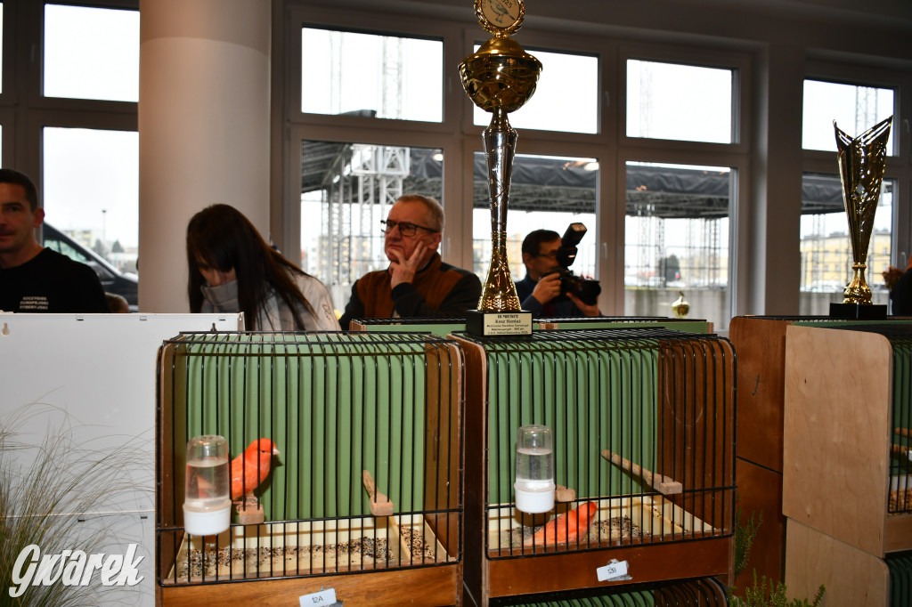 Radzionków. Kanarki i nie tylko, udana wystawa