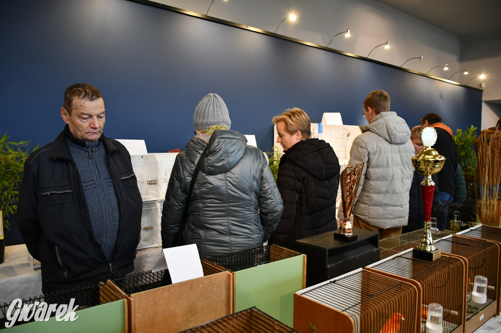 Radzionków. Kanarki i nie tylko, udana wystawa