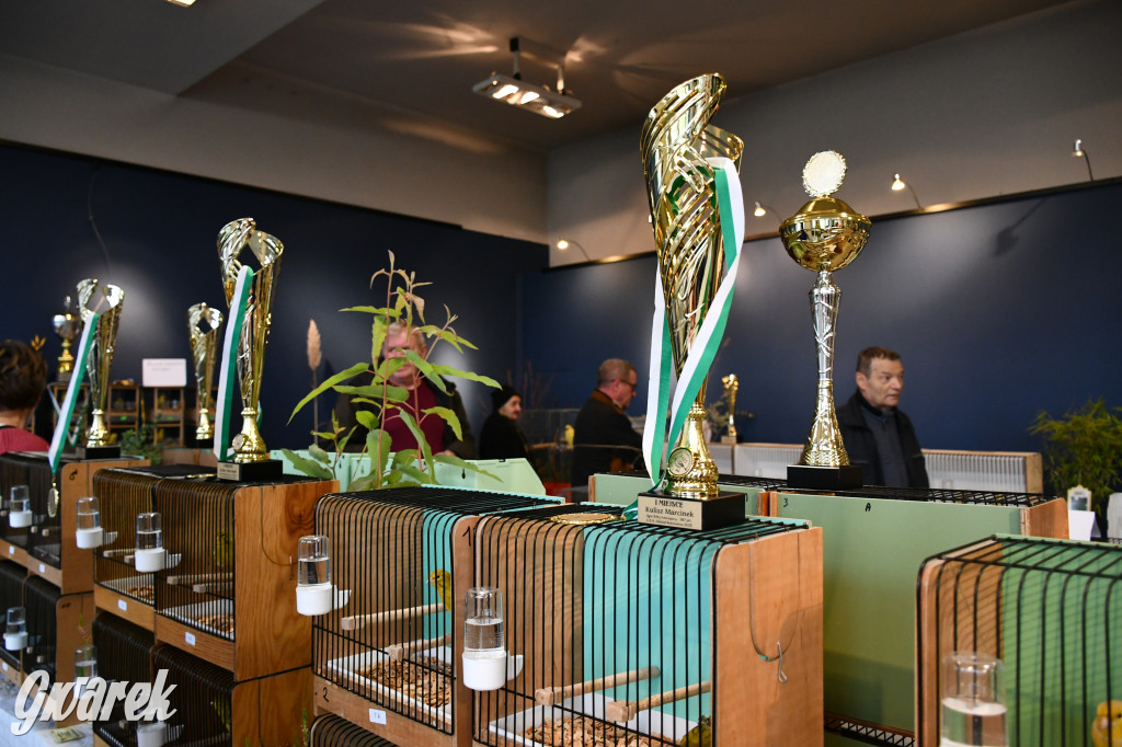 Radzionków. Kanarki i nie tylko, udana wystawa