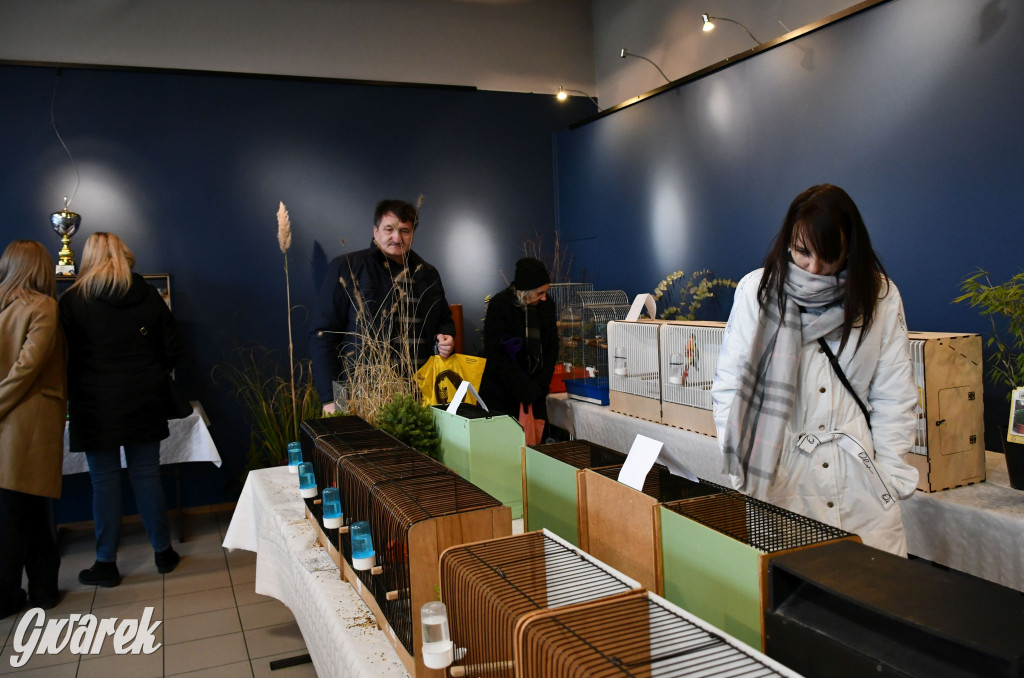 Radzionków. Kanarki i nie tylko, udana wystawa