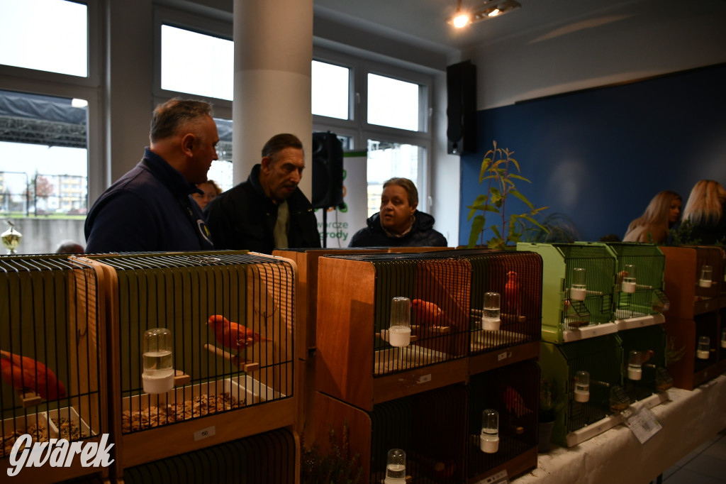 Radzionków. Kanarki i nie tylko, udana wystawa