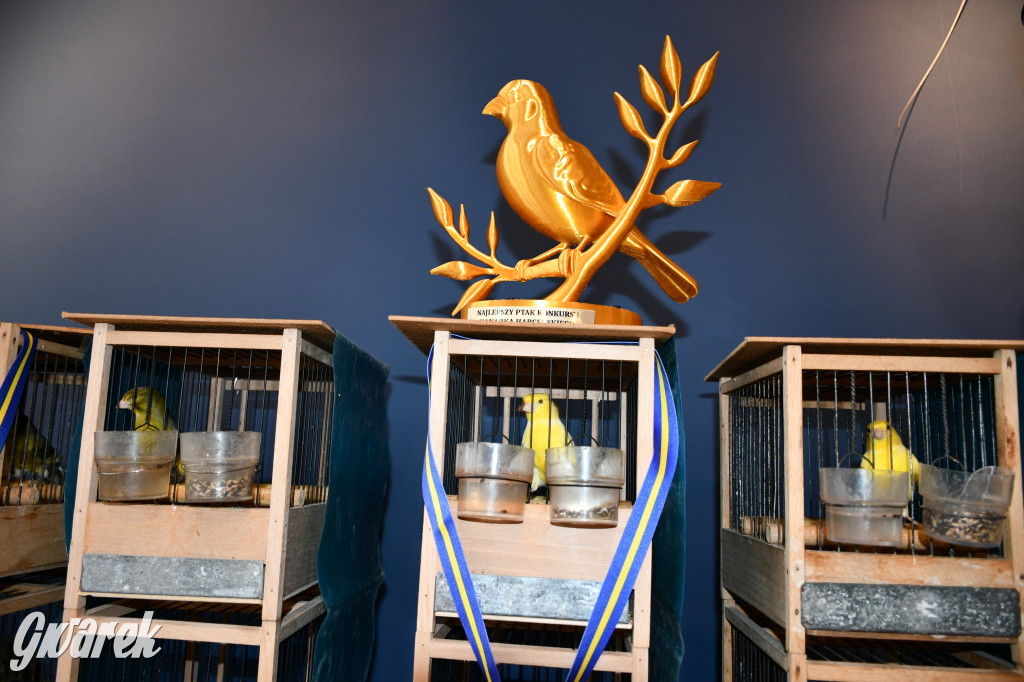 Radzionków. Kanarki i nie tylko, udana wystawa