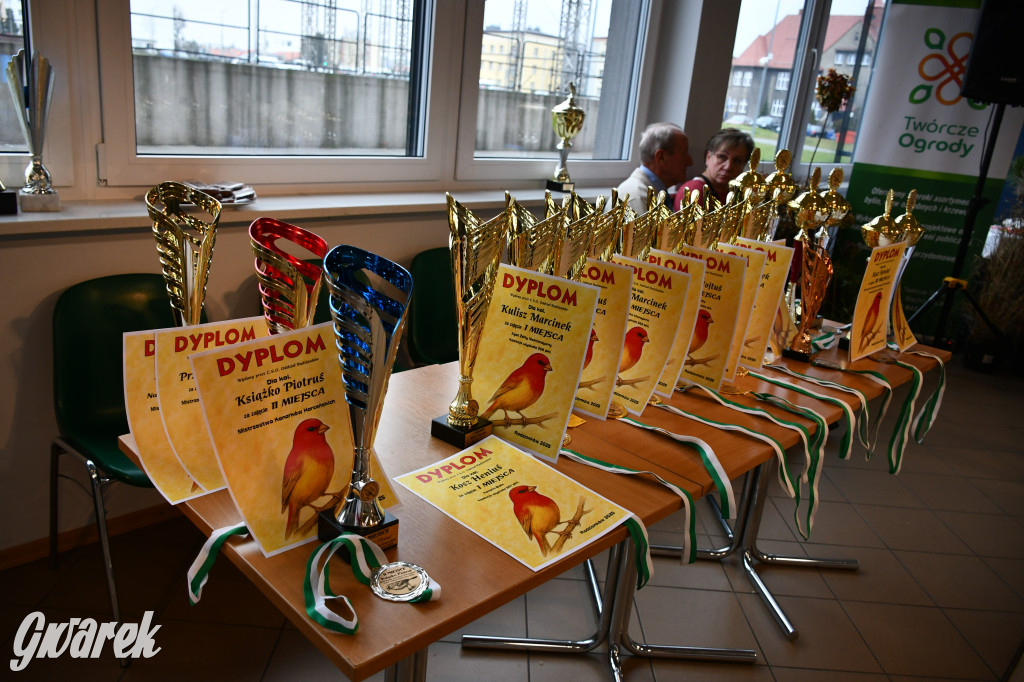 Radzionków. Kanarki i nie tylko, udana wystawa