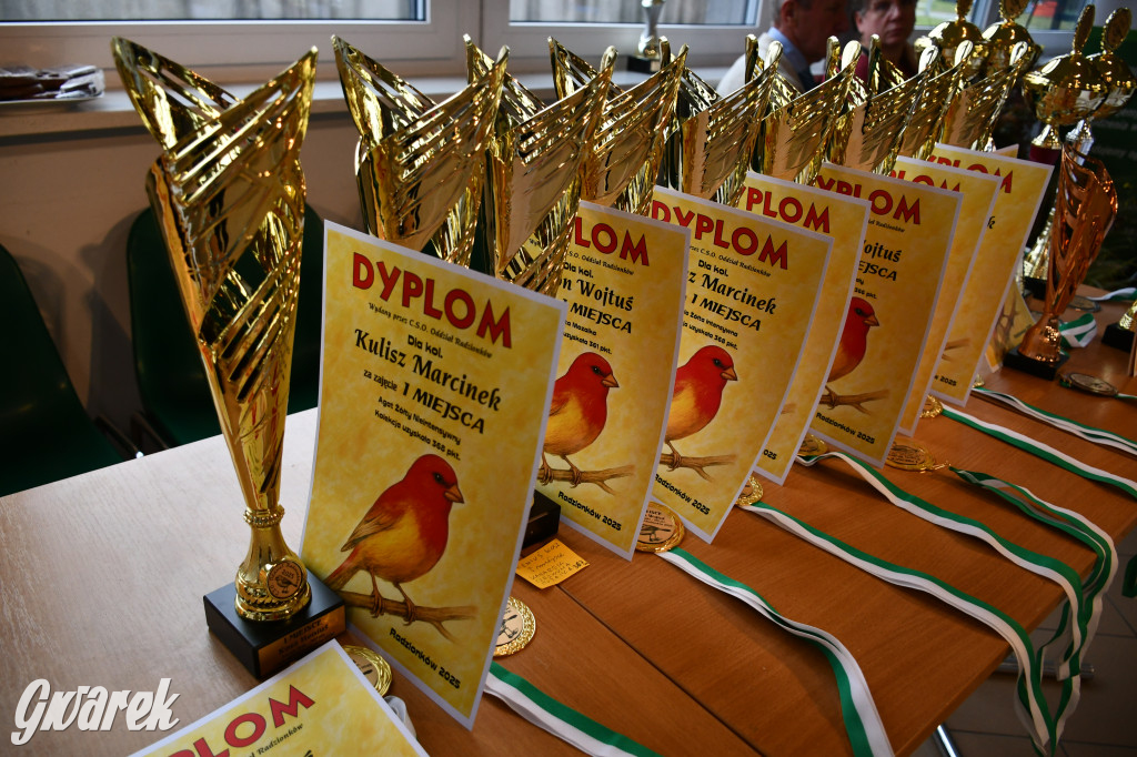 Radzionków. Kanarki i nie tylko, udana wystawa