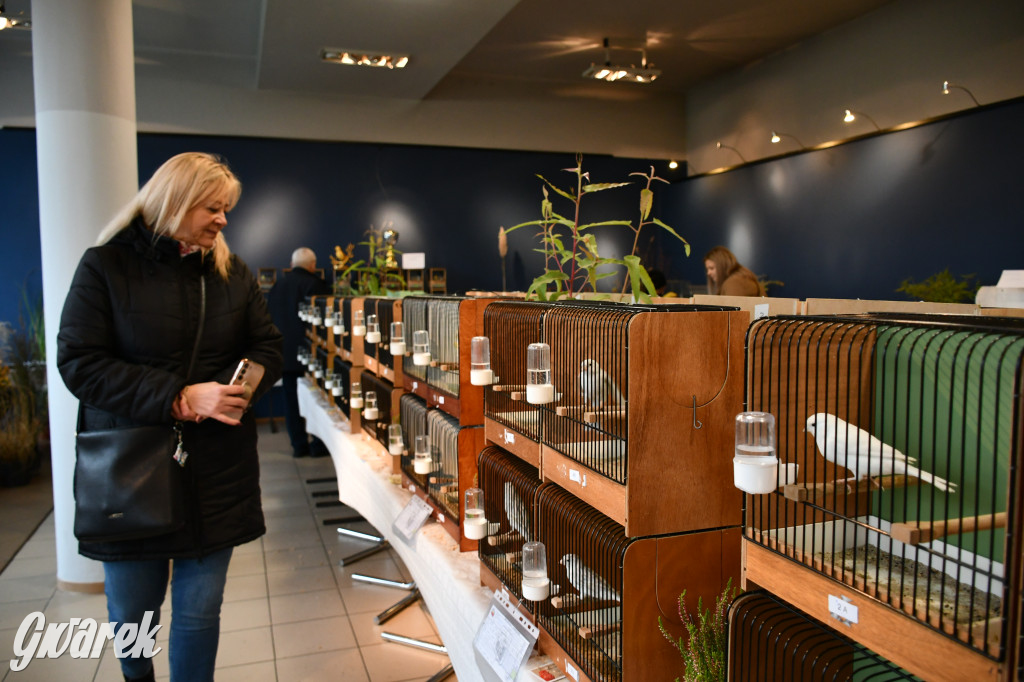 Radzionków. Kanarki i nie tylko, udana wystawa