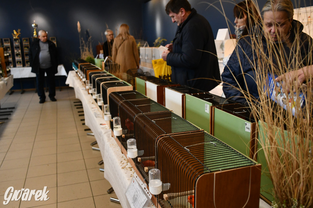 Radzionków. Kanarki i nie tylko, udana wystawa