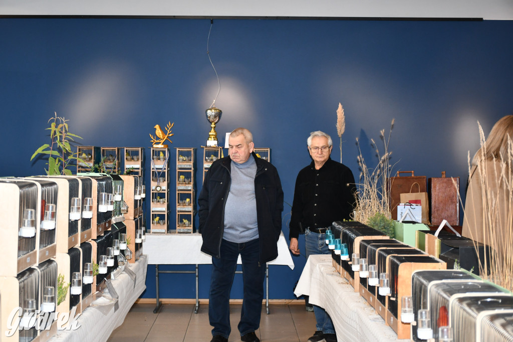 Radzionków. Kanarki i nie tylko, udana wystawa