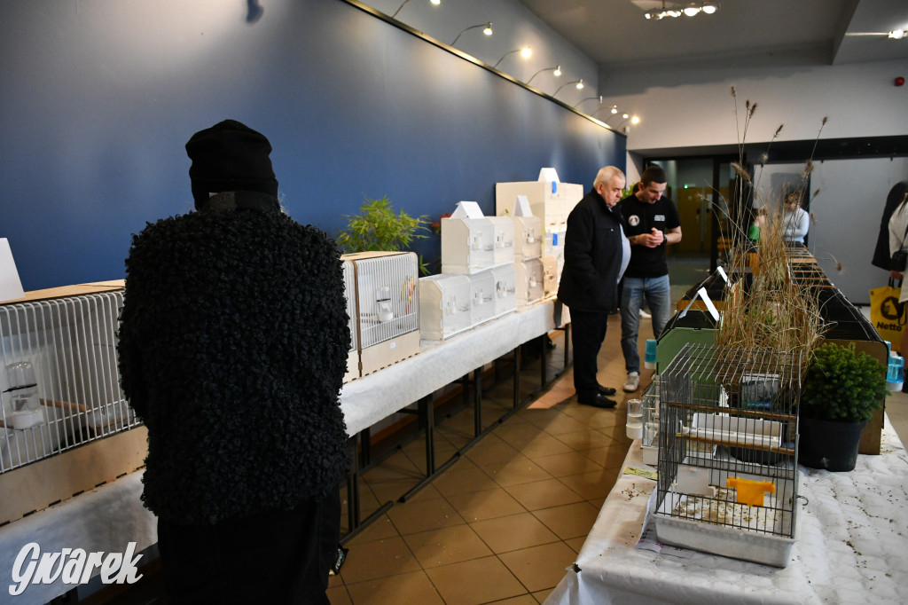 Radzionków. Kanarki i nie tylko, udana wystawa