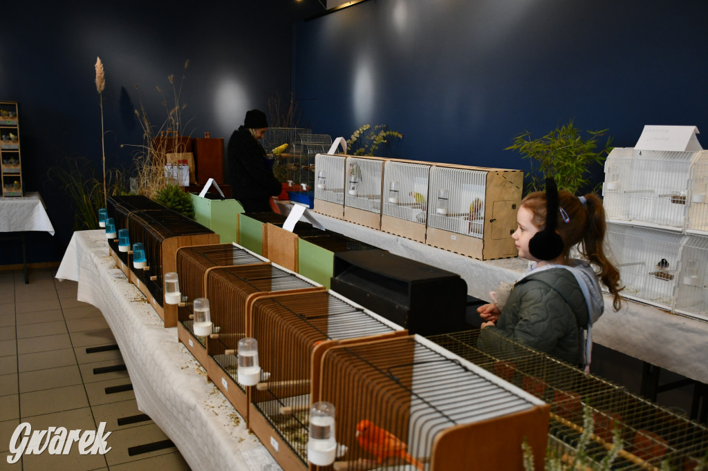 Radzionków. Kanarki i nie tylko, udana wystawa