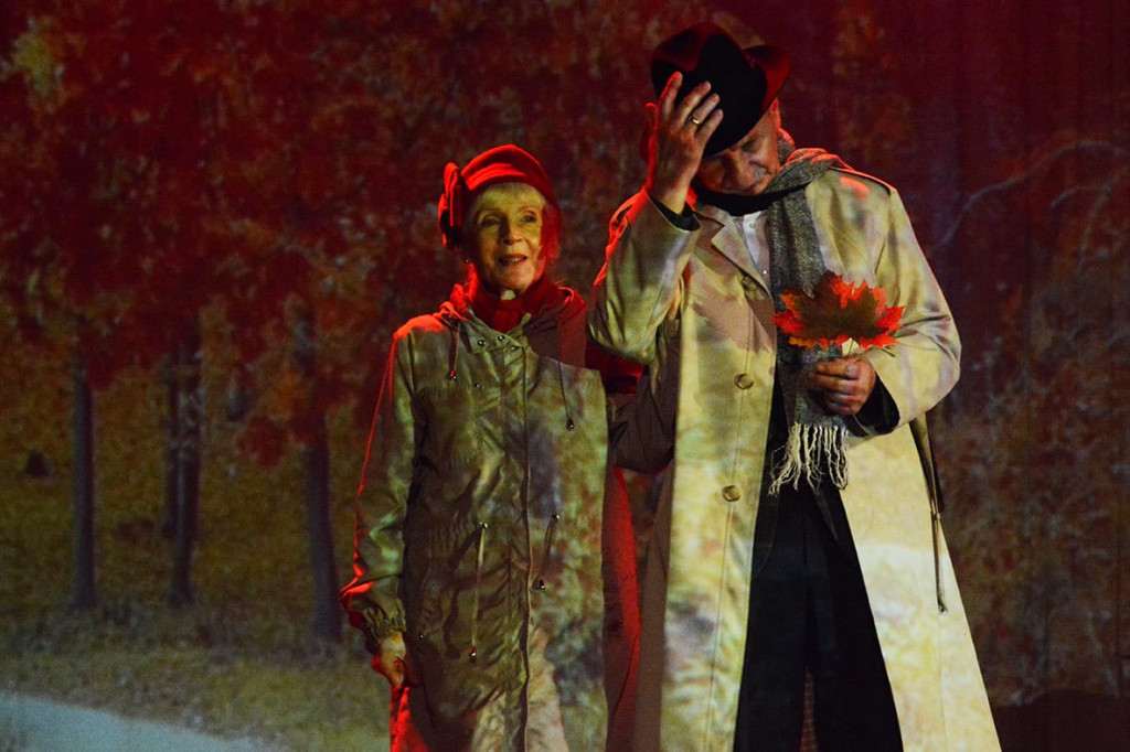 Tarnowskie Góry. Seniorzy świętowali