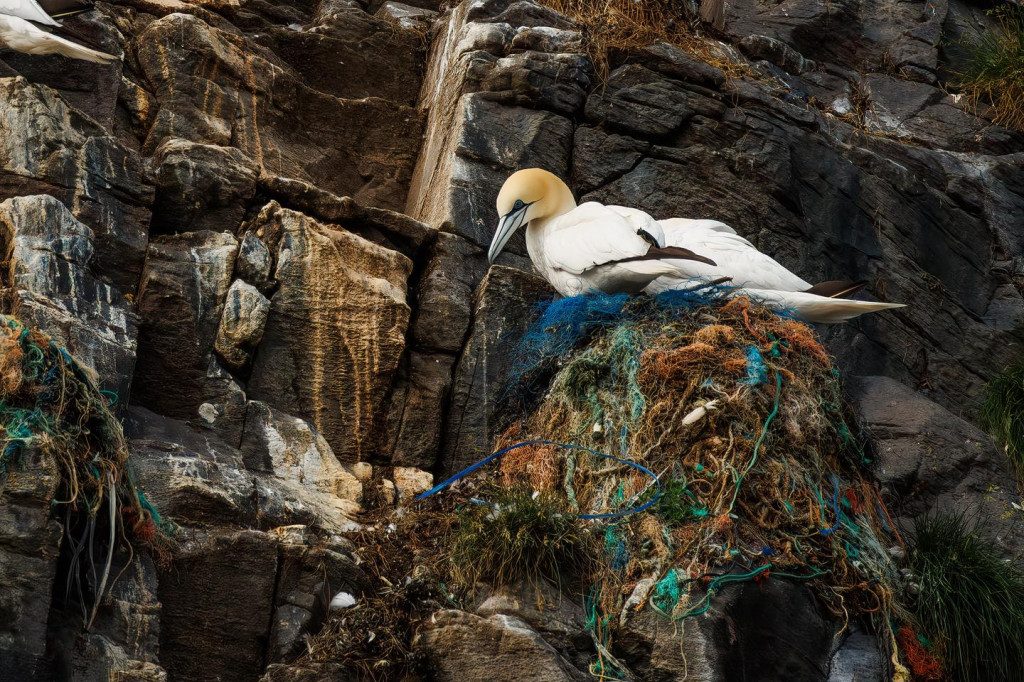 Nasz fotograf i National Geographic. Nagroda i...