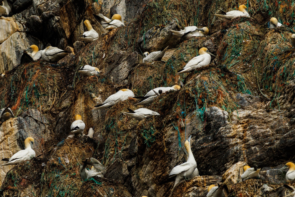 Nasz fotograf i National Geographic. Nagroda i...