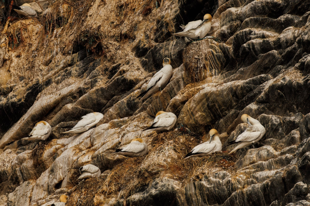 Nasz fotograf i National Geographic. Nagroda i...