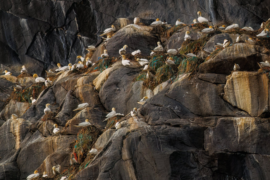Nasz fotograf i National Geographic. Nagroda i...