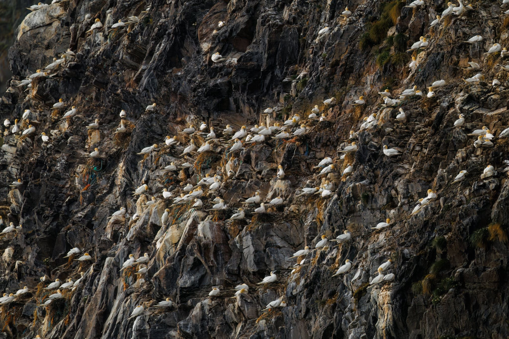 Nasz fotograf i National Geographic. Nagroda i...