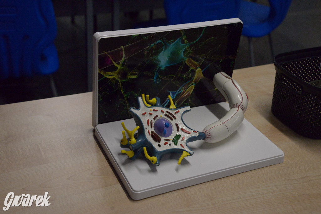 Podniebne Laboratorium w Nowych Chechle