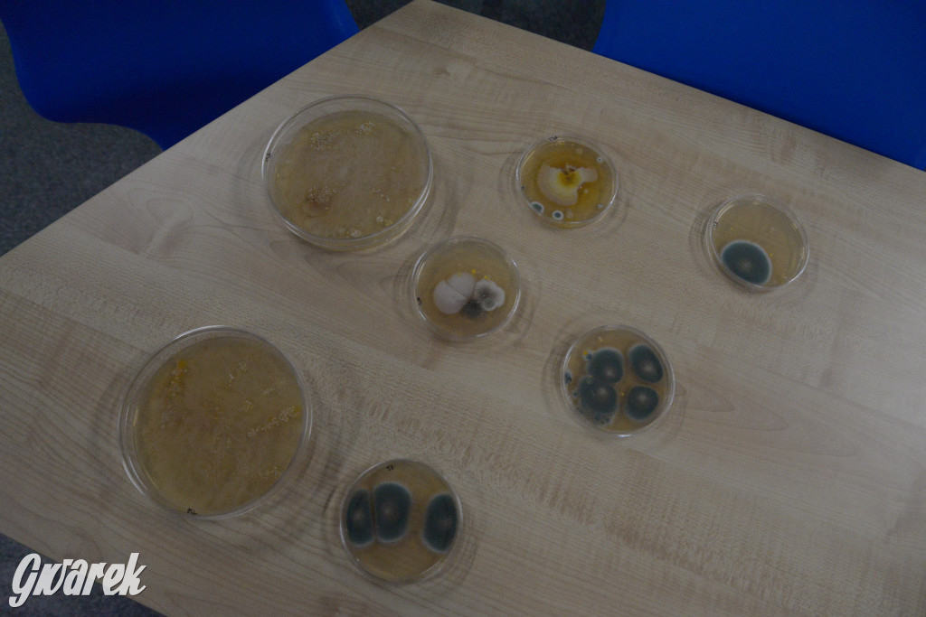 Podniebne Laboratorium w Nowych Chechle